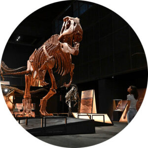 Es pot visitar fins al 2 de juny de 2024 al CosmoCaixa de Barcelona.
