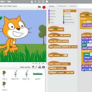 Primers passos en Scratch