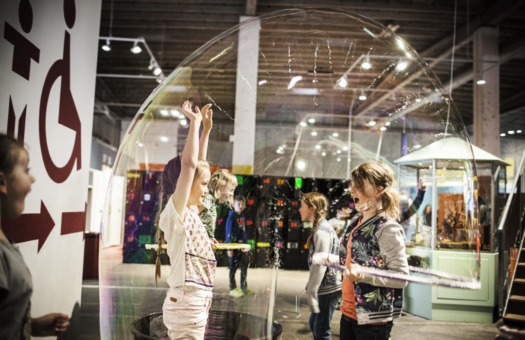 El 'bubblearium' és un dels espais preferits del públic i un dels símbols de la renovació museística que va experimentar el museu.
